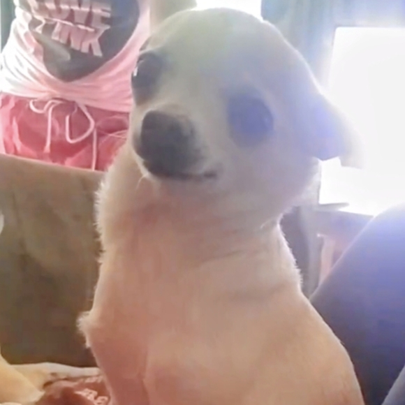 Meet your Posher, Karen - Picture 10 of 10